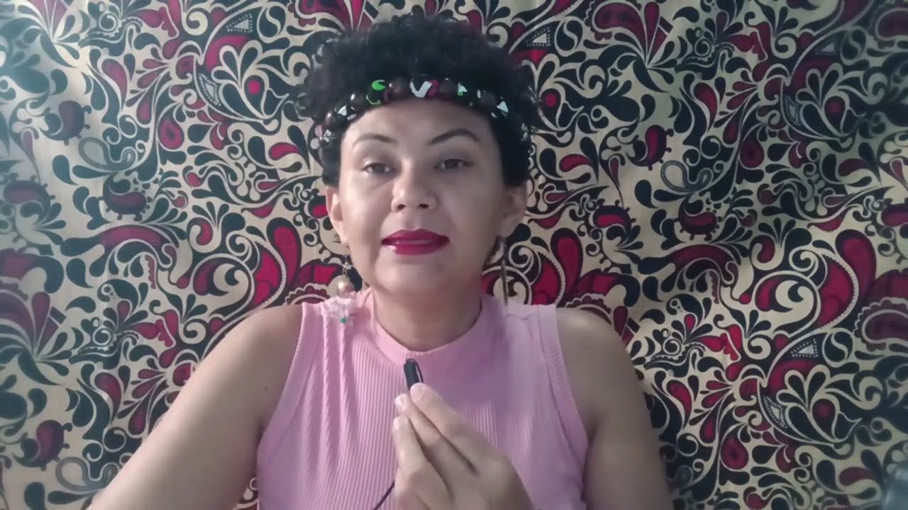 DIÁRIO: PELEJAS DA MINHA VIDA