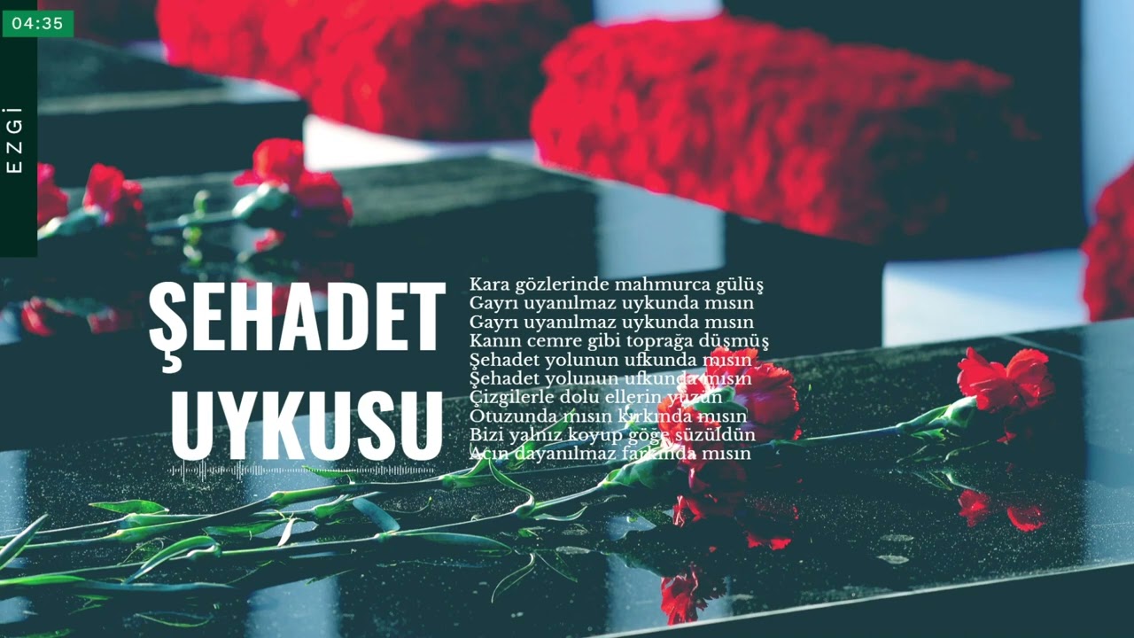 Şehadet Uykusu - Hakan Aykut