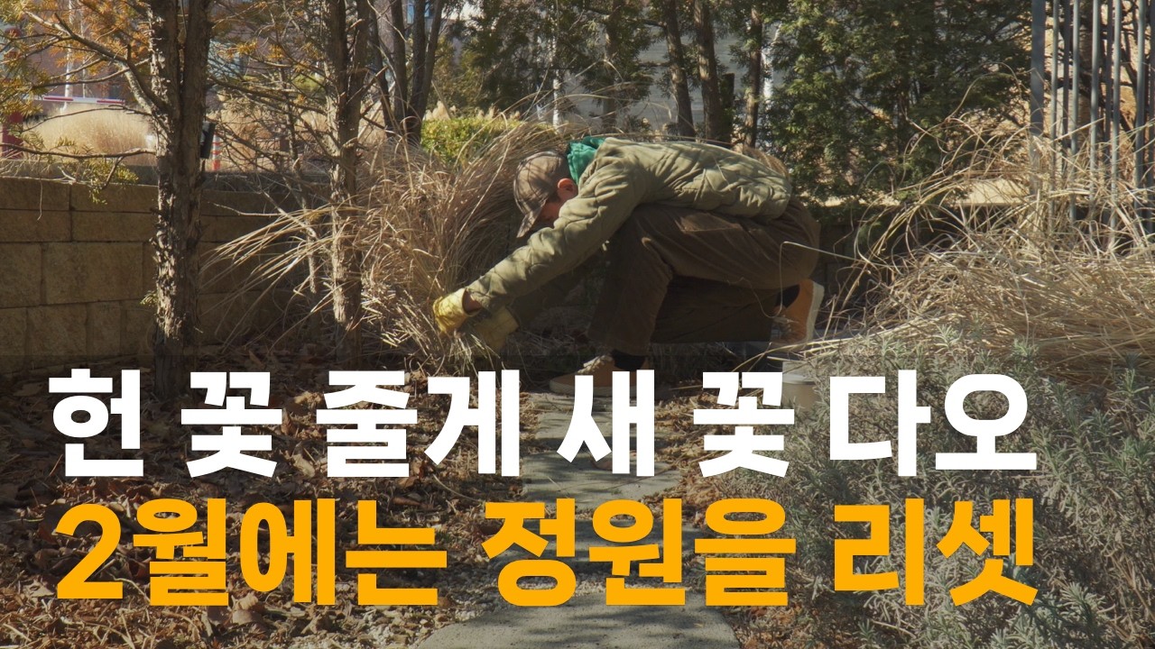 헌 꽃 줄게 새 꽃 다오 | 2월에는 정원을 리셋!