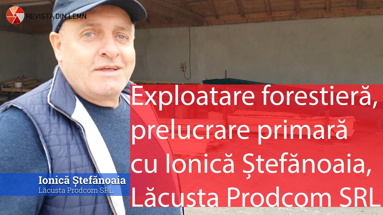 Despre exploatare forestieră și prelucrare primară cu Ionică Ștefănoaia - Lăcusta Prodcom SRL