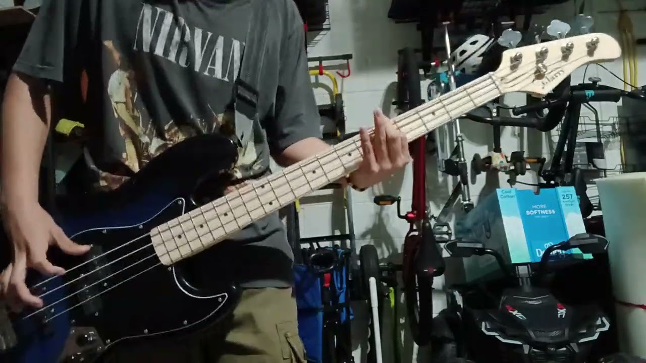 Breed (bass cover)
