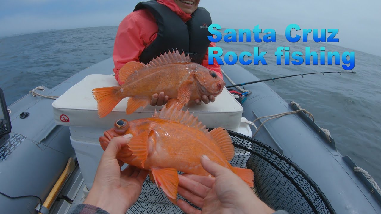 Santa Cruz Rock Fishing - LIMITS! - July 13, 2020