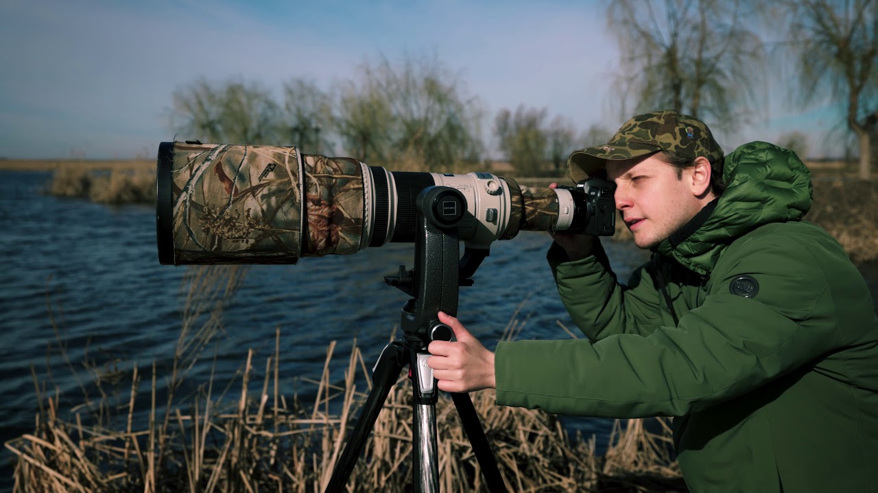 LIFE FINDS ITS WAY: Capturing the impossible with Gitzo Gimbal Fluid Head (Gitzo GHFG1 Review)