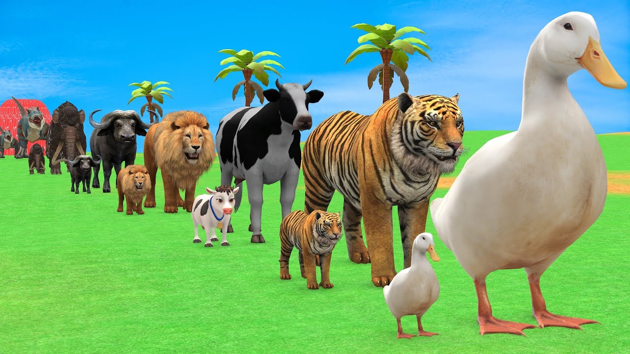 Long Slide Game with Cow Elephant Gorilla Hippopotamus Tiger 3d Animal Game Funny 3d Animals