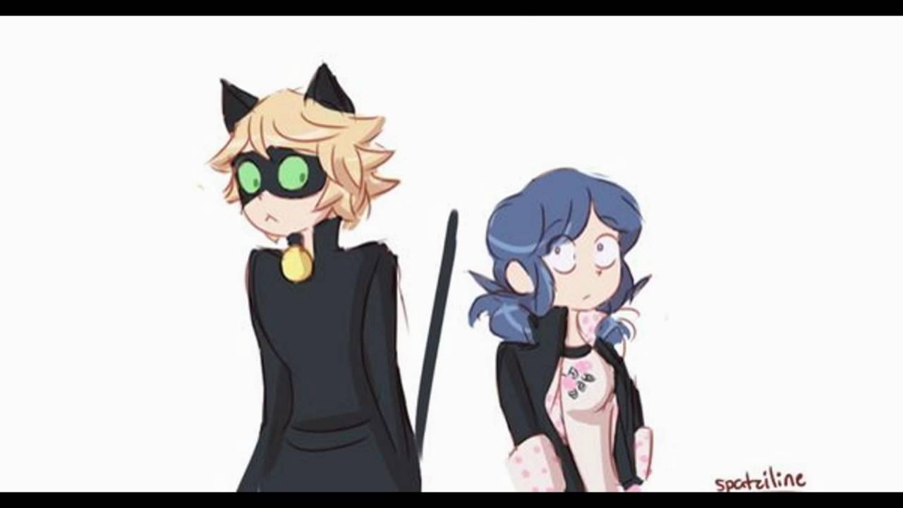 MariChat Tribute