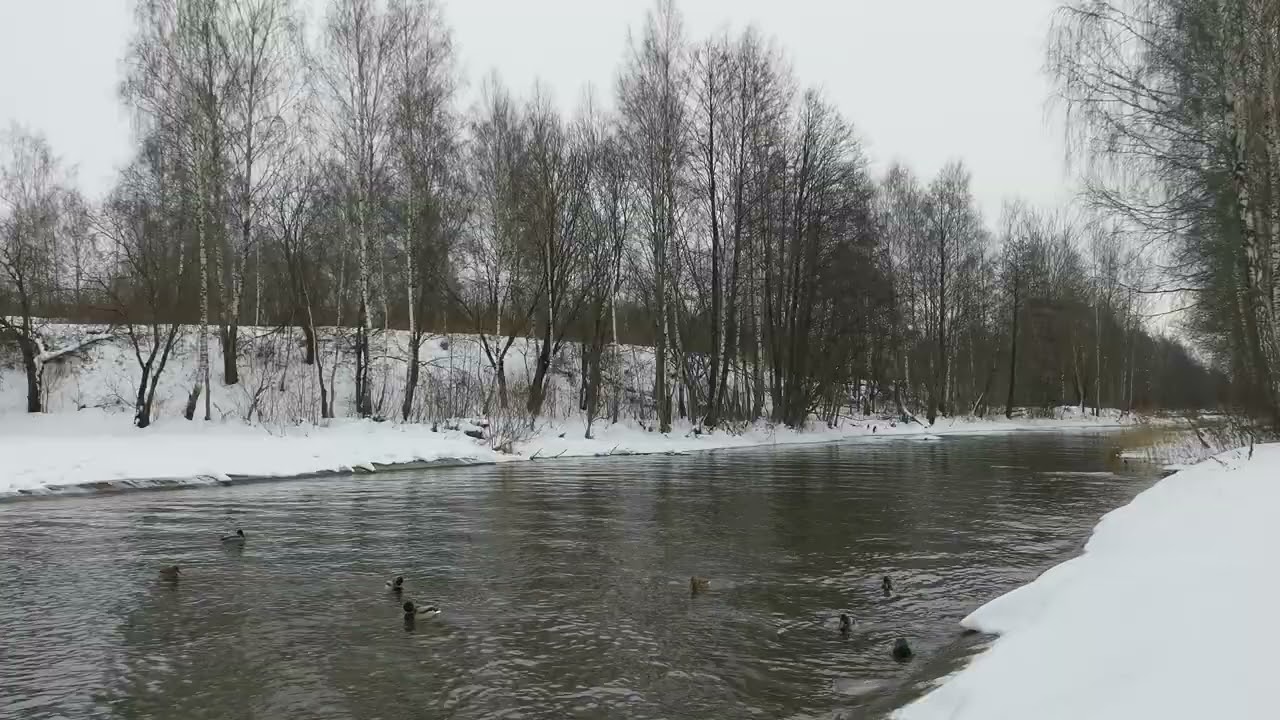 Звуки природы — шум реки.