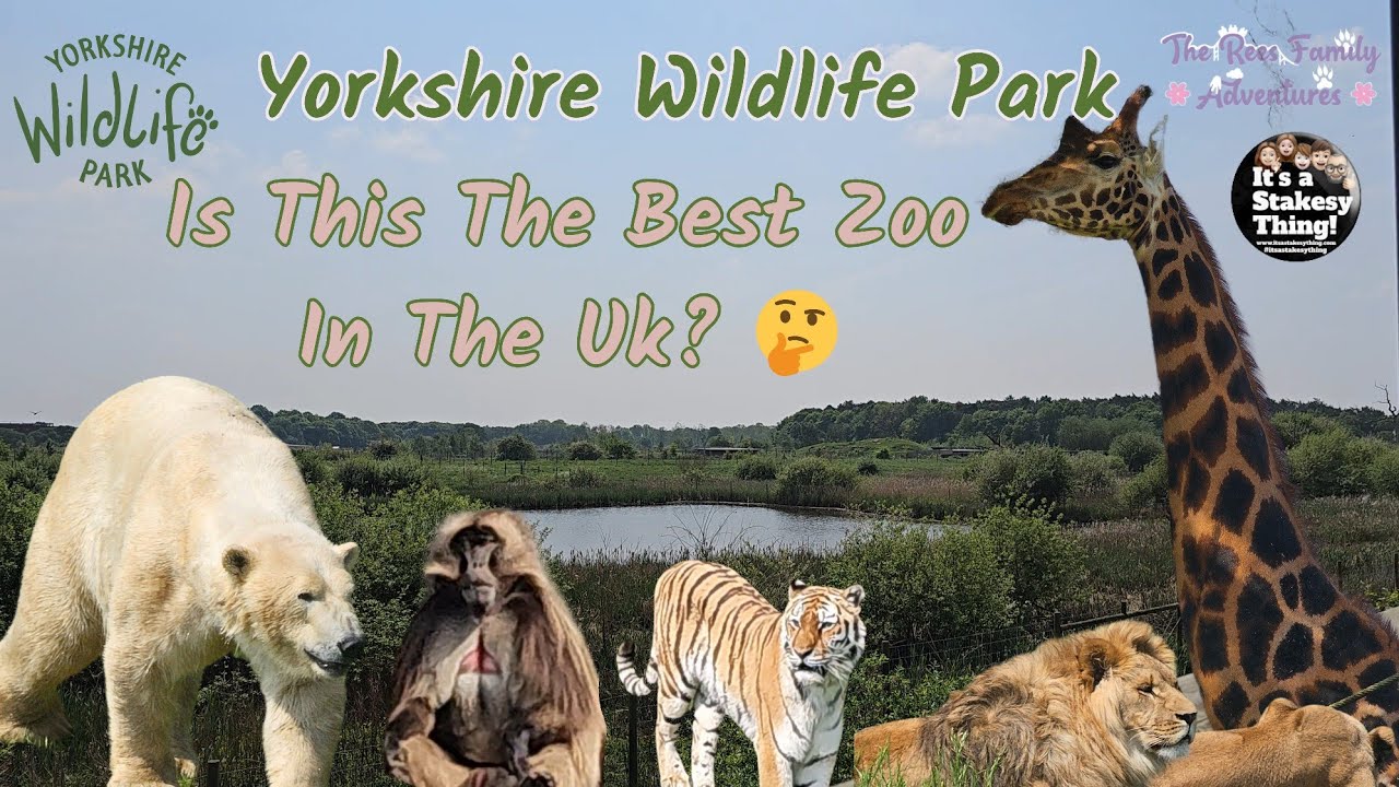 Yorkshire Wildlife Park | The Best Zoo In The UK? 