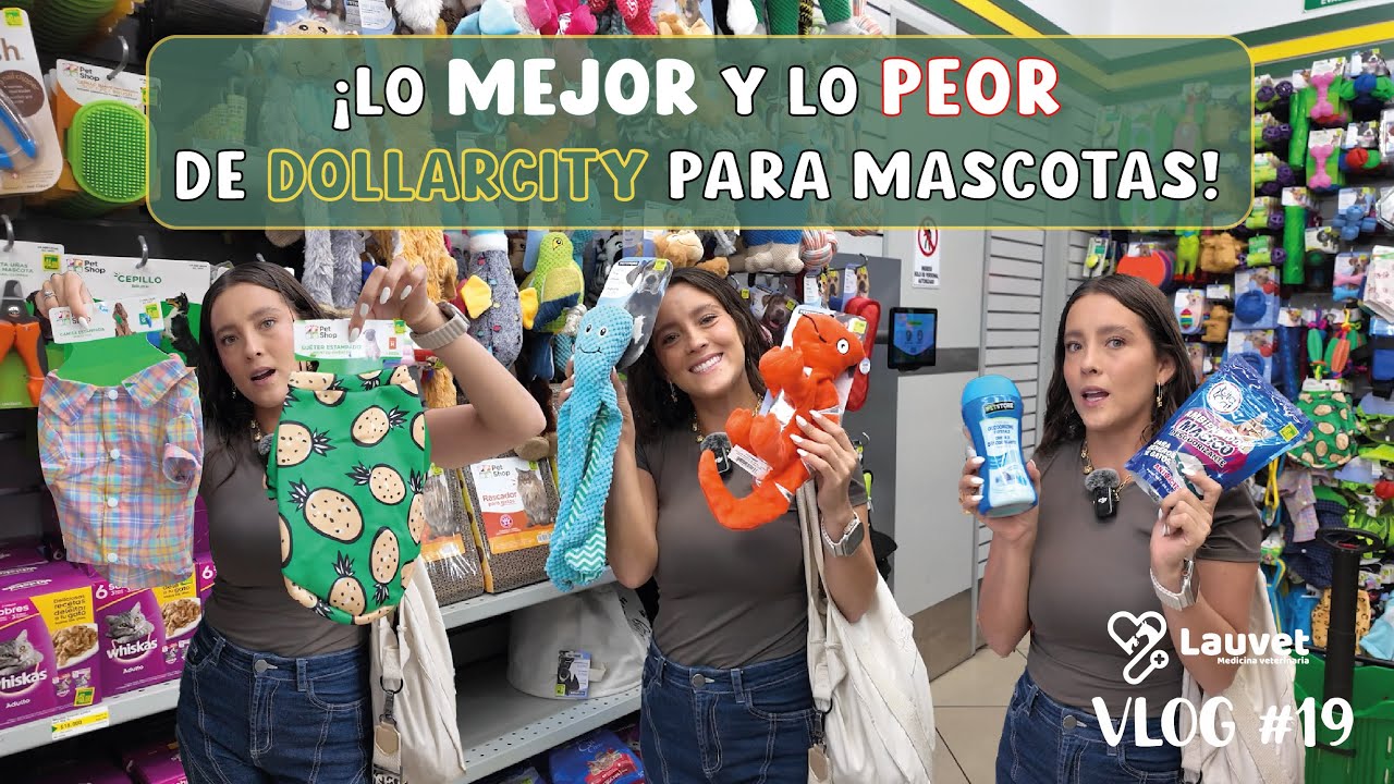 &iquest;Qu&eacute; S&Iacute; y qu&eacute; NO comprar en Dollarcity para tu mascota? - Lauvet