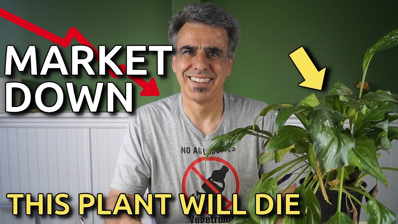 How to Automate Plant Watering with Stock Market Data