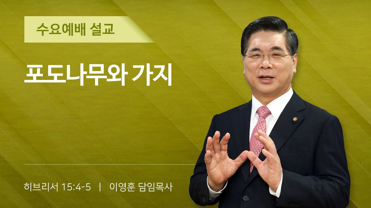 2026년 01월 21일 여의도순복음교회 이영훈 담임목사 수요예배설교 / 포도나무와 가지