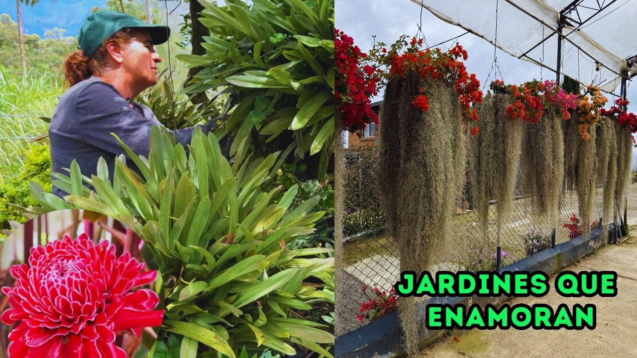 Luz nos enseñó su hermoso JARDÍN +57, preparamos TRES ABONOS que nadie conoce para PLANTAS |AP