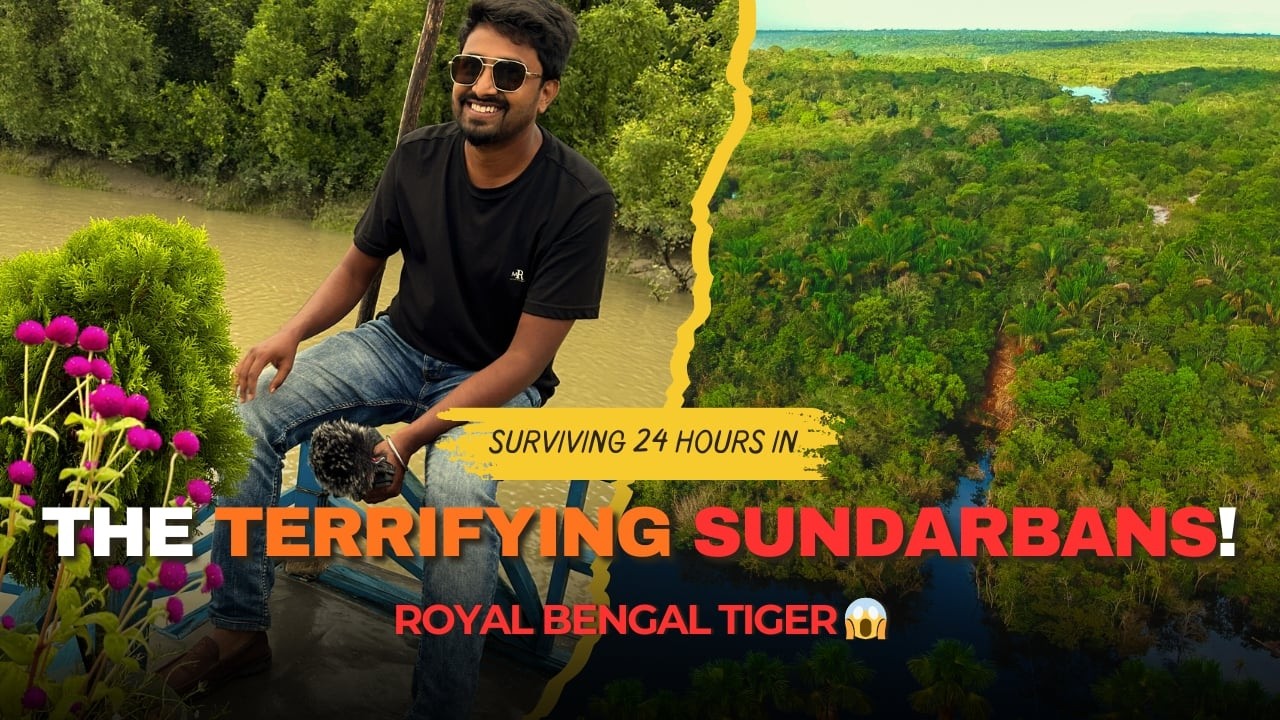পশুরাম নদী ঘাট থেকে সুন্দরবনের রহস্যময় যাত্রা 🌿 | Sundarbans Travel Vlog Bangladesh | SAK NOMAD