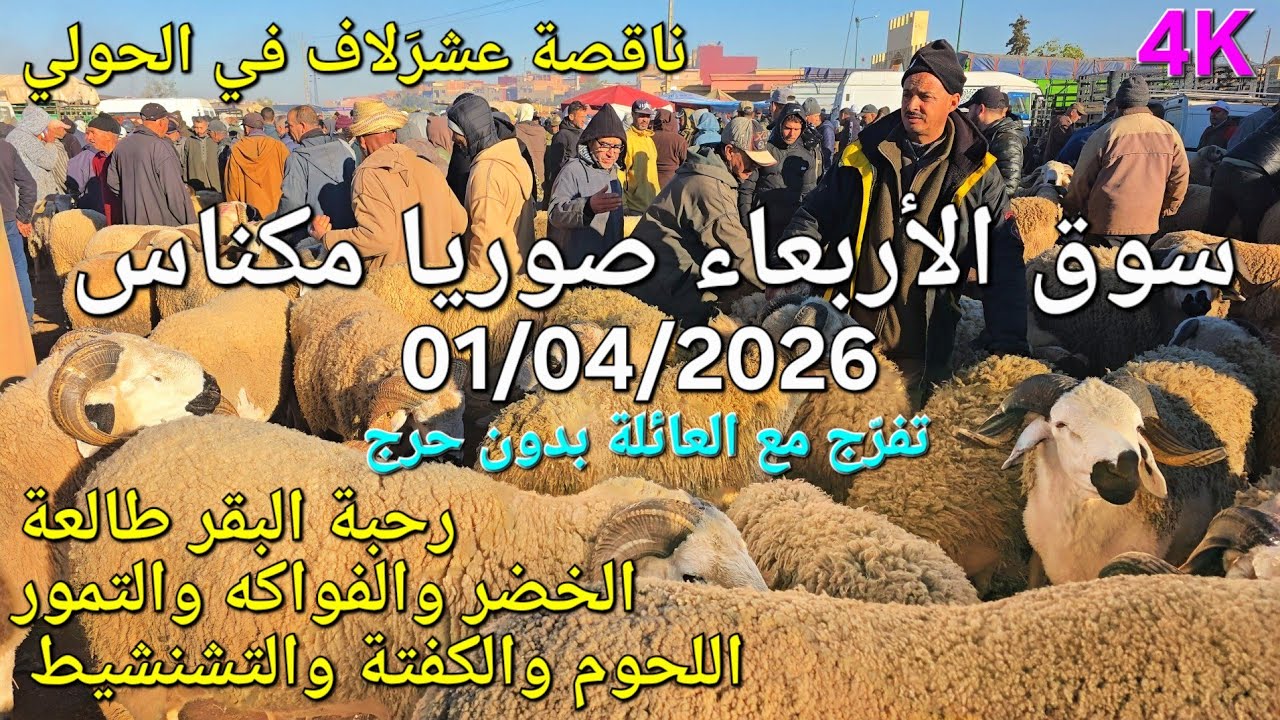 أثمنة الغنم والبقر واللحوم والخضر سوق الأربعاء صوريا مكناس اليوم 01/04/2026