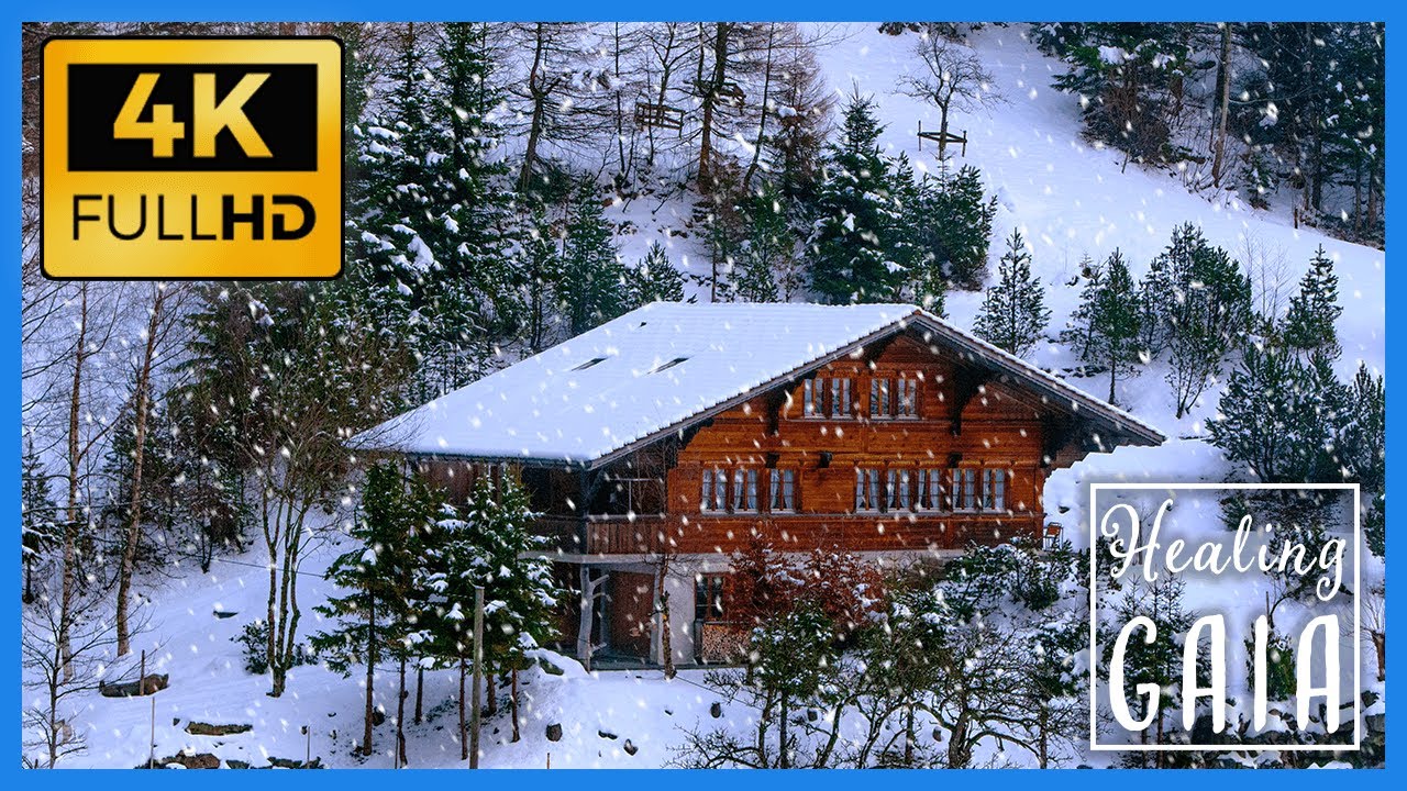 ⛄🌳 [4K] Ambiente de INVIERNO ▶ BOSQUE NEVADO para DORMIR 🌳🚡 [8 HORAS]