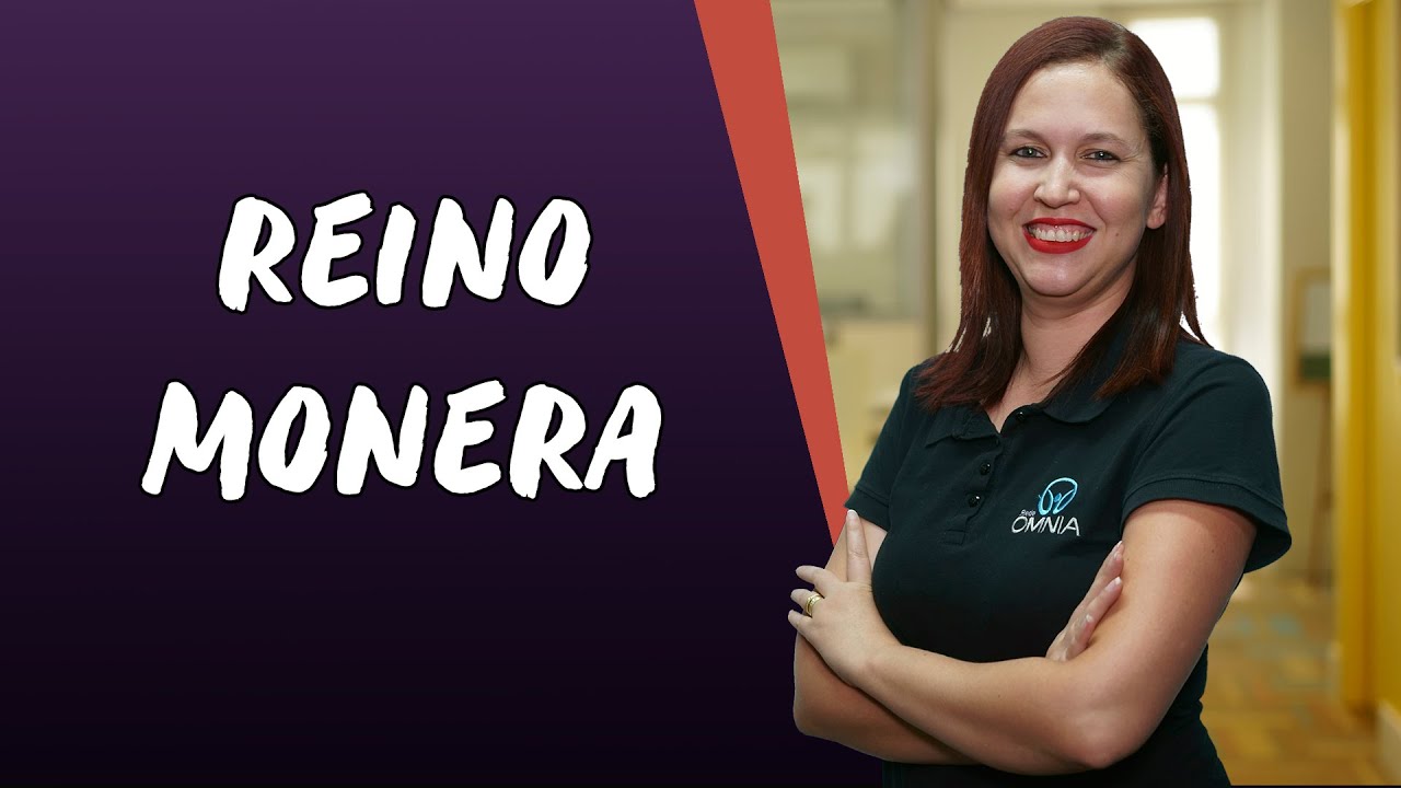 Reino Monera - Brasil Escola