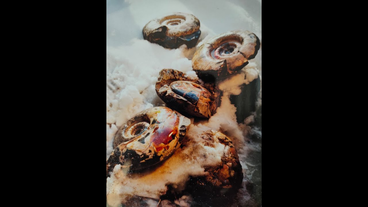 The giant ammonites of the Lopsiya River (река Лопсия), West Siberia, Russia (1995) (longer version)