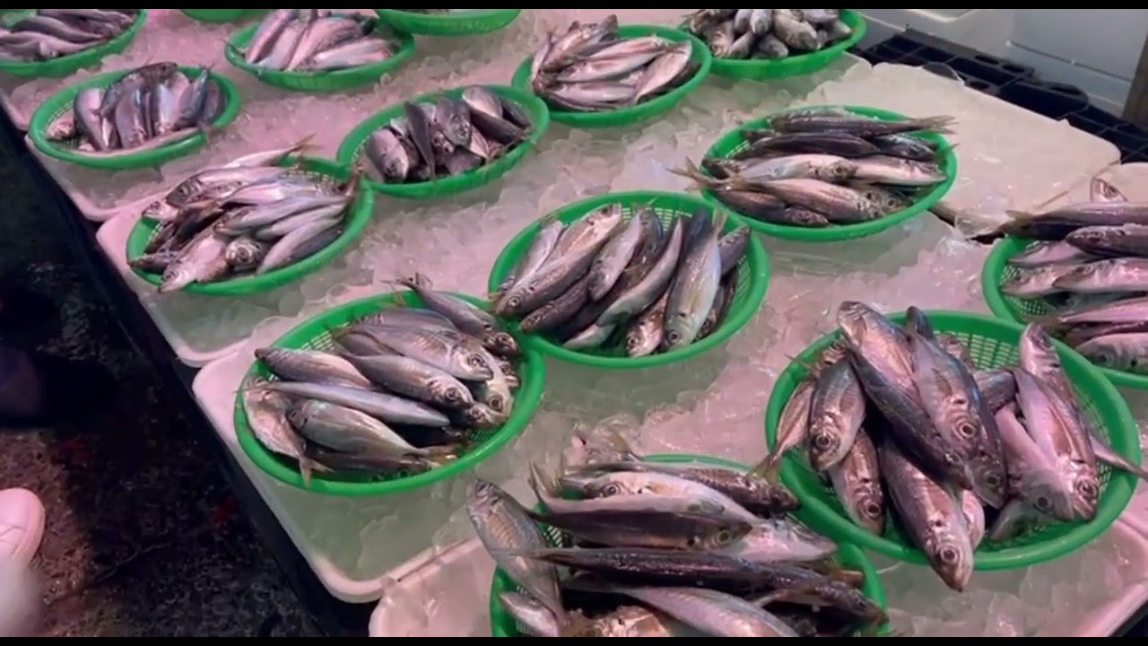 Welcome To Oarai. #fish #market #video #viral #japan