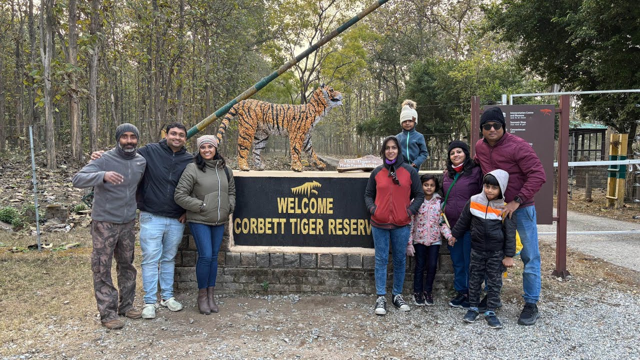 jim corbett 3 tiger spotted