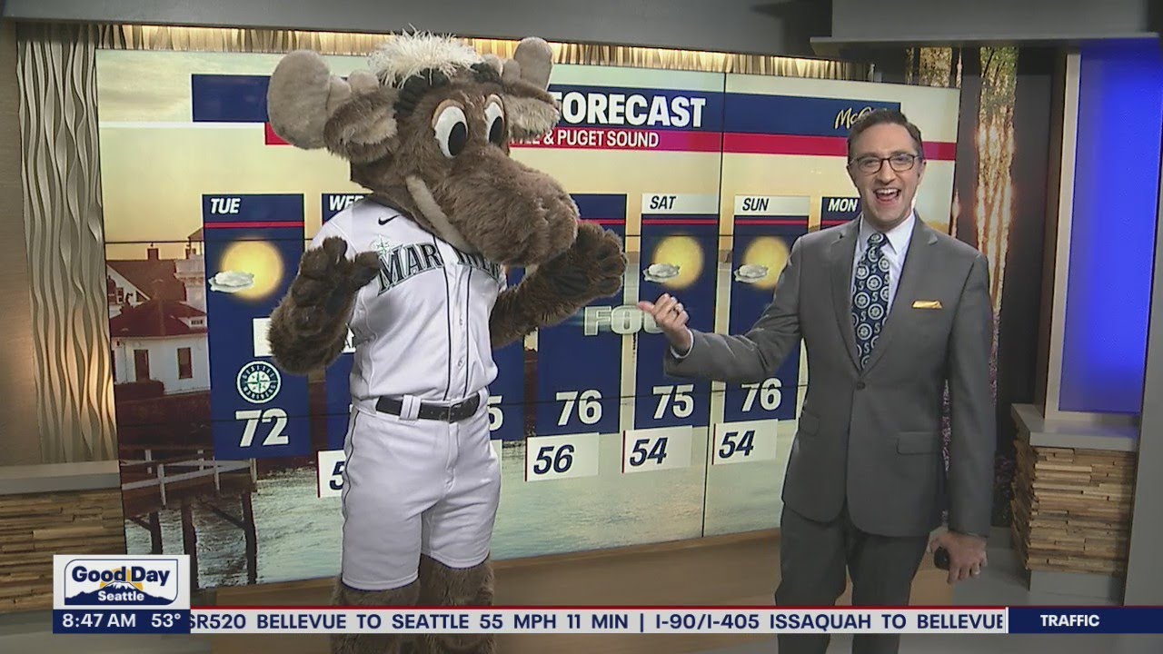 The Seattle Mariner Moose says it will be a little foggy this week | FOX 13 Seattle