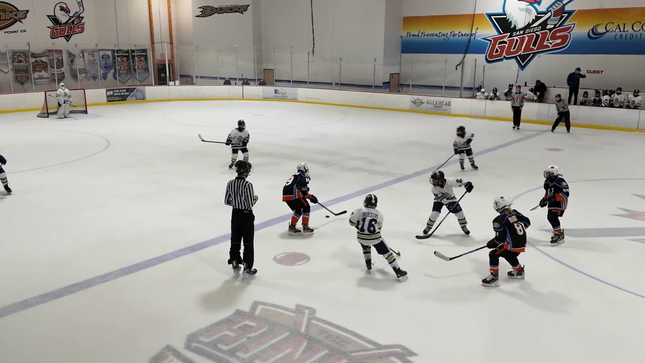 2026.01.25.Ice Dogs 12UA vs Jr Gulls 3rd Period