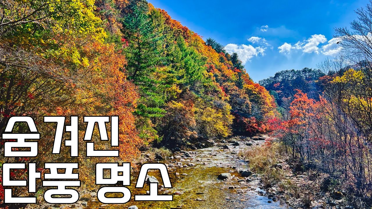 한적하고 편하게 다녀오는 단풍 명소 | 오대산 선재길 트레킹 가이드