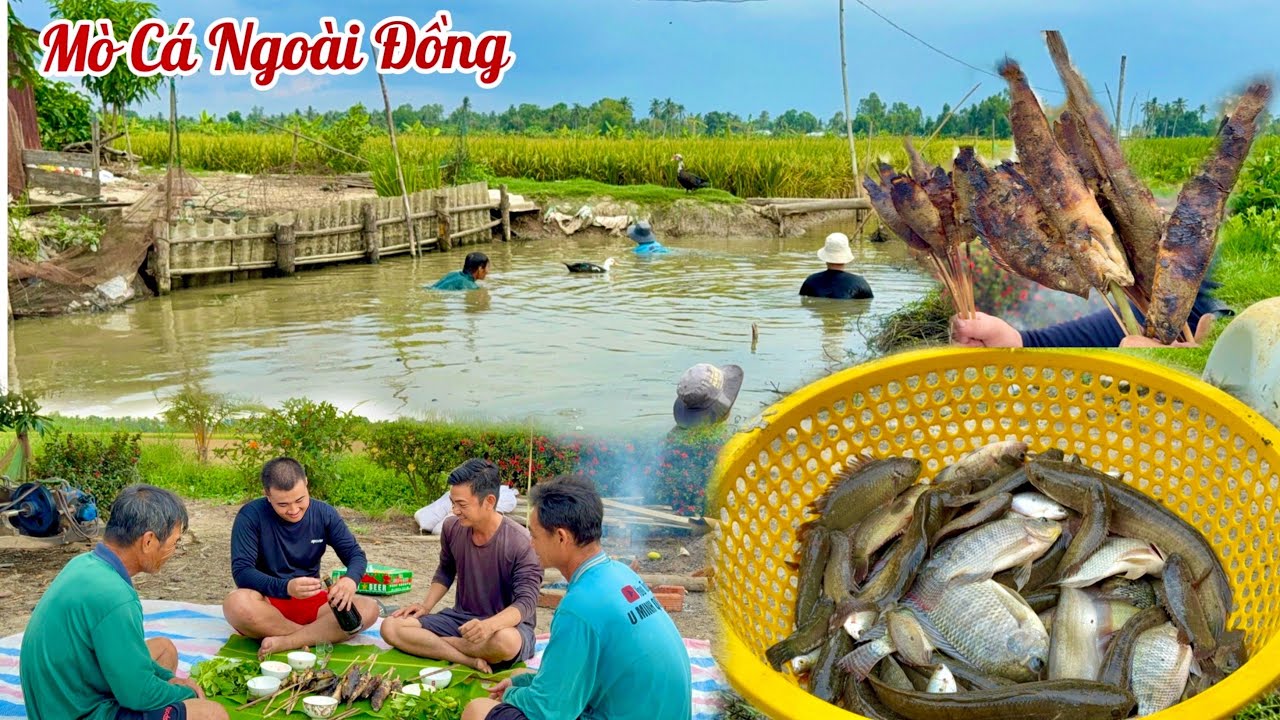 Ra Đồng Mò Cá ,Trúng Mánh Gần 4 Kí Cá Đồng Ngon •UMQT | #1042