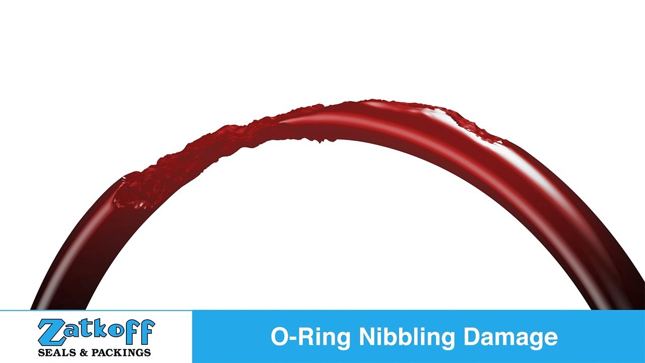 O-Ring Failure Modes: Nibbling