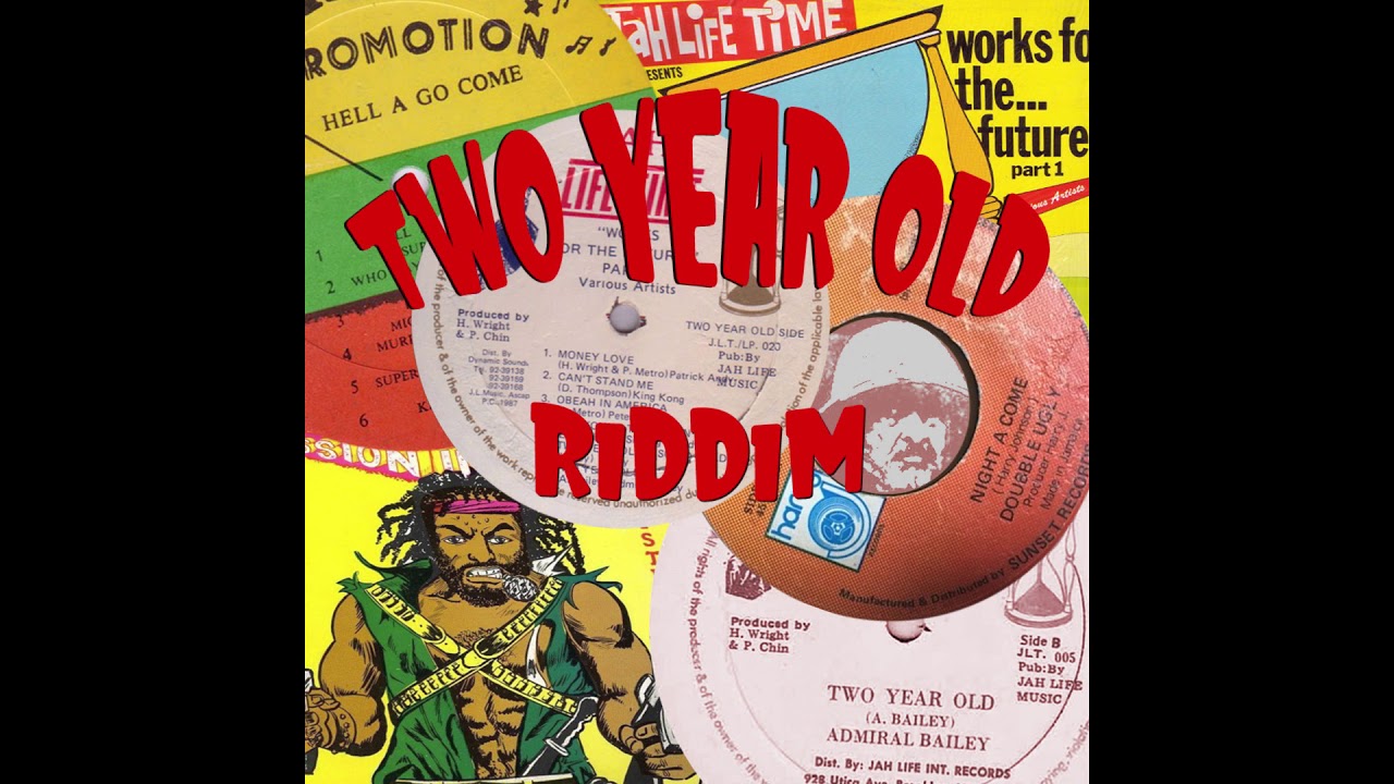 Two Year Old Riddim Mix (Jah Life, Ottey's, Harry J, Power House)