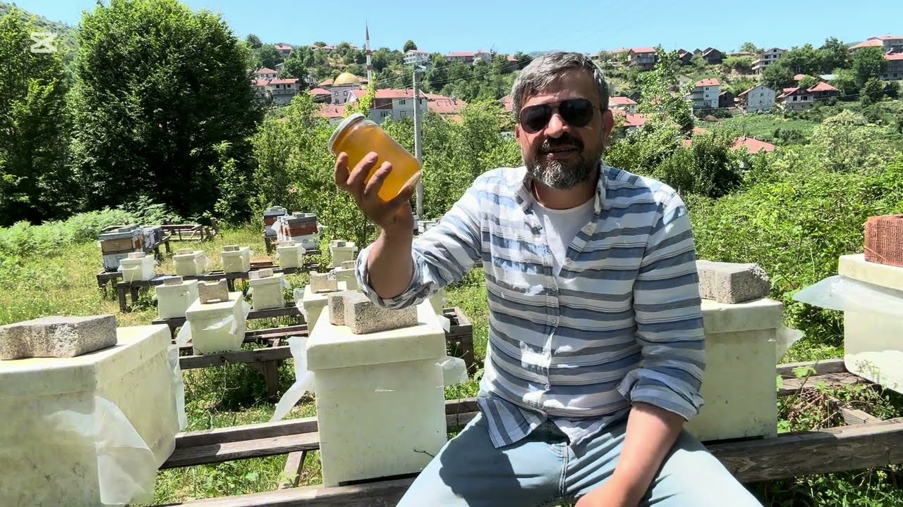 #Acıbal #Delibal #Ormangülü #Komar