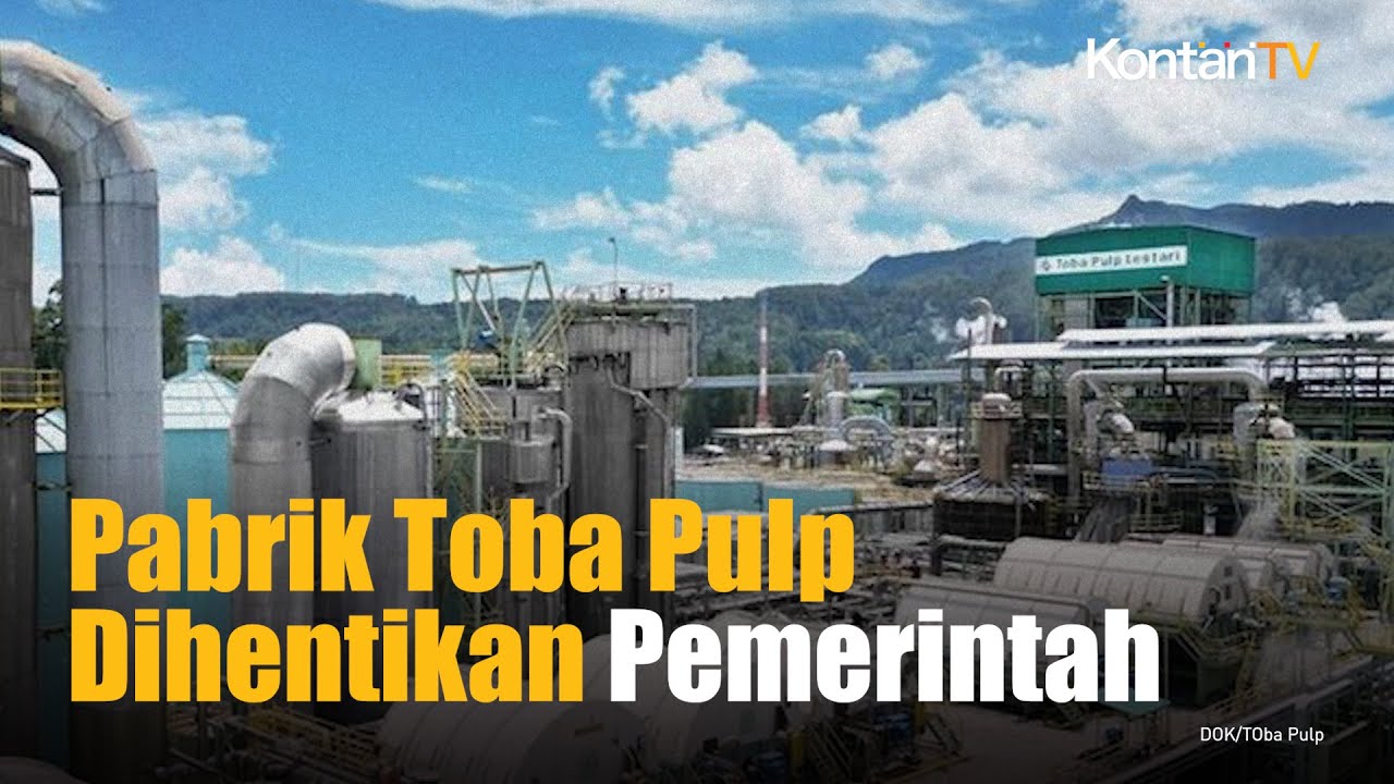 Pemerintah Resmi Hentikan Sementara Operasional Pabrik Toba Pulp Lestari di Sumatera