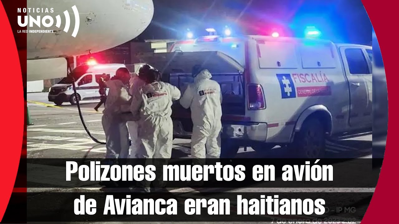 Polizones que MVRlER0N en tren de aterrizaje de avión de Avianca, eran haitianos