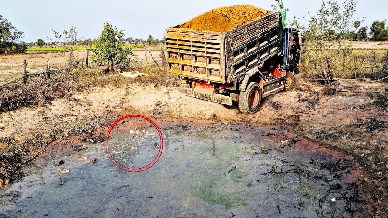 First Start Amazing PROJECT!! Filling Land Delete Garbage Pond Use Strong Bulldozer & 5ton Truck.