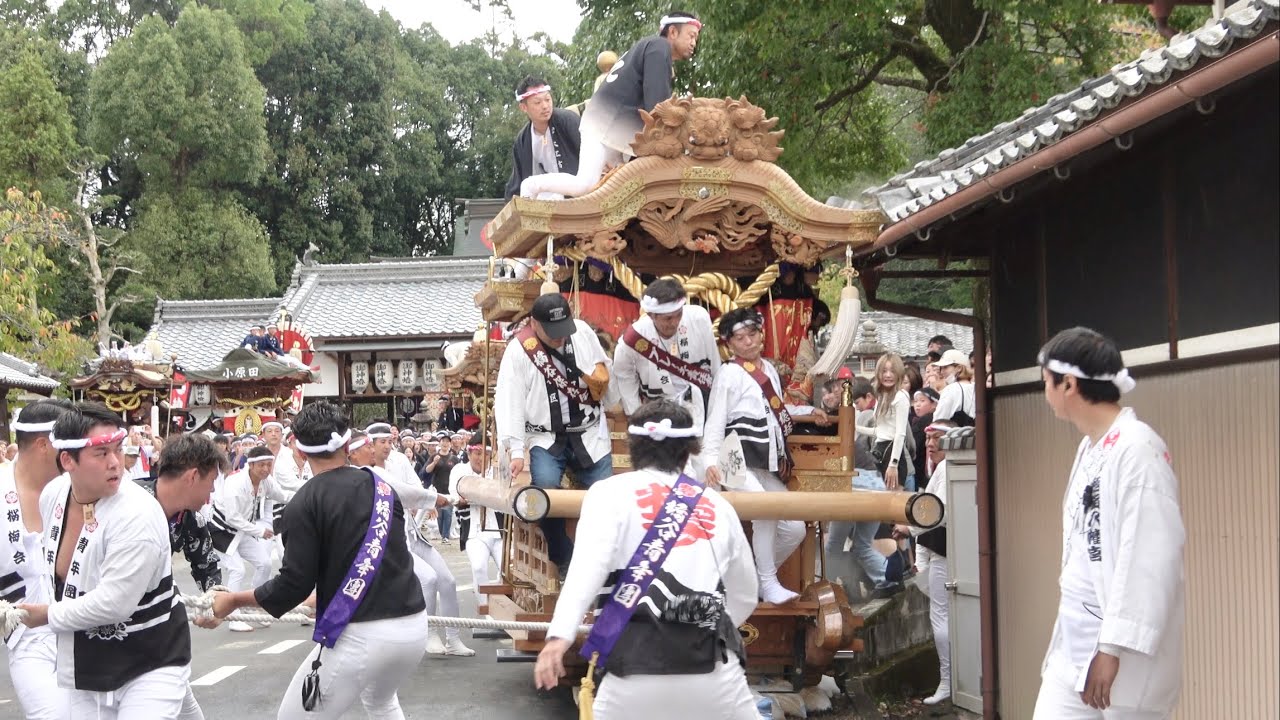 橋本だんじり祭2025 本宮
