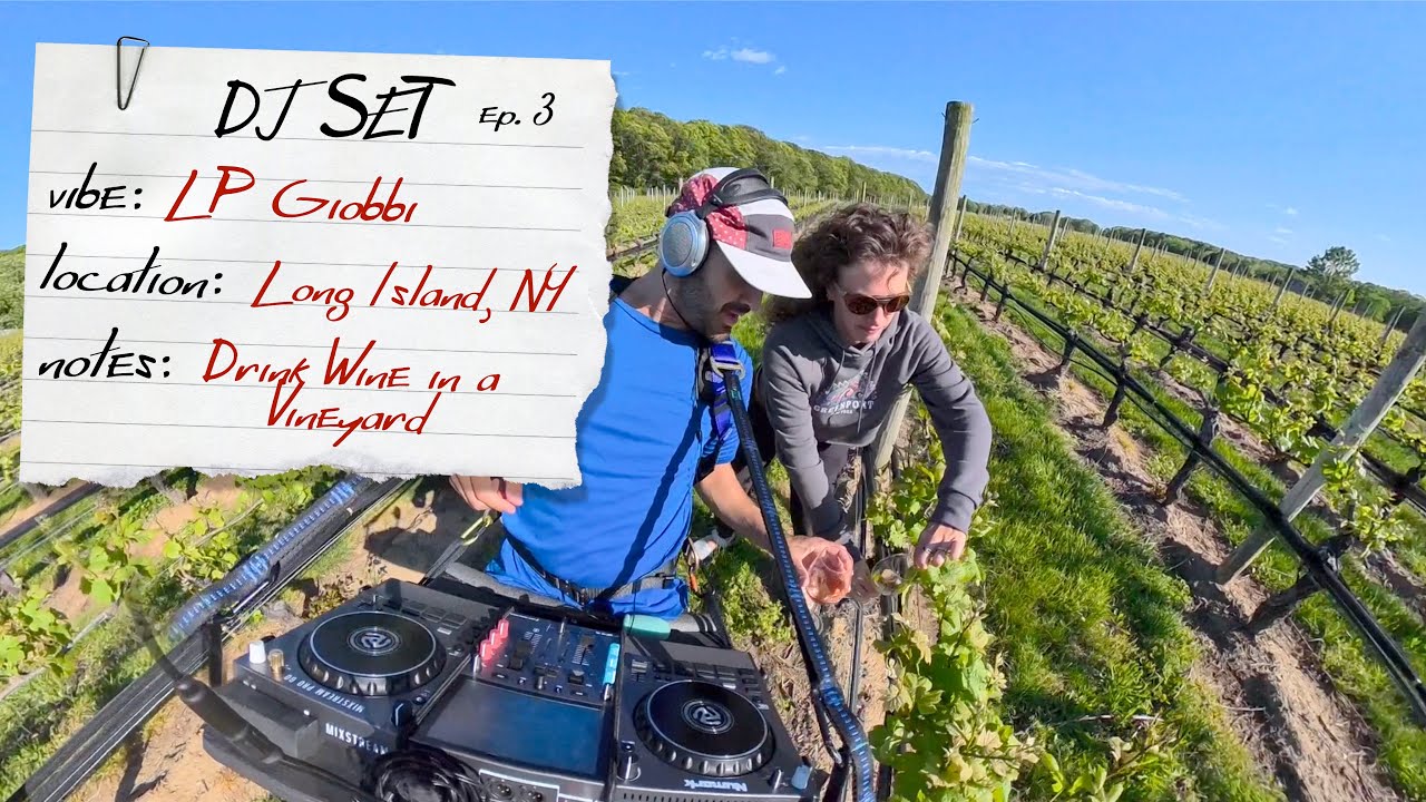 LP Giobbi from a Vineyard 🍷🍇  Chill Out and Drink