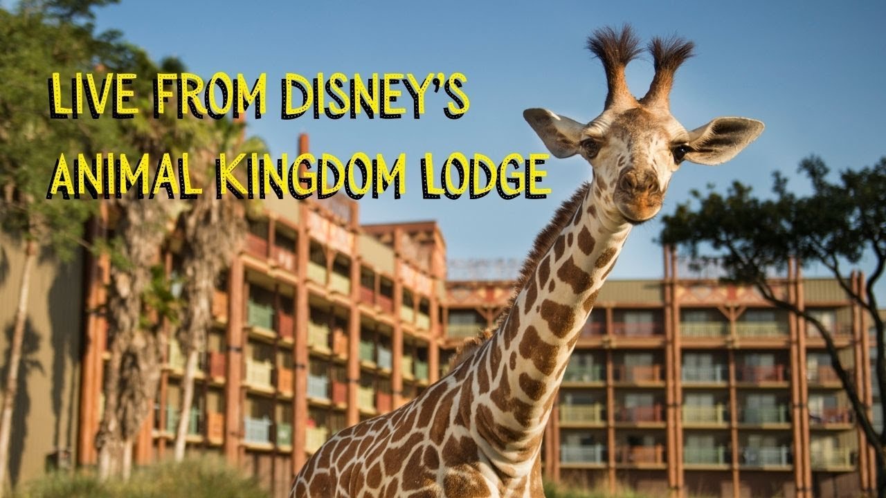 Live from Disney's Animal Kingdom Lodge (Replay)