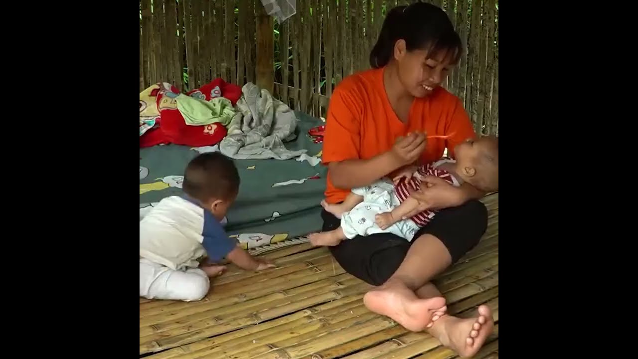 A Single Mom’s Daily Struggle 💔 Harvesting Amaranth & Cooking to Raise Her Children
