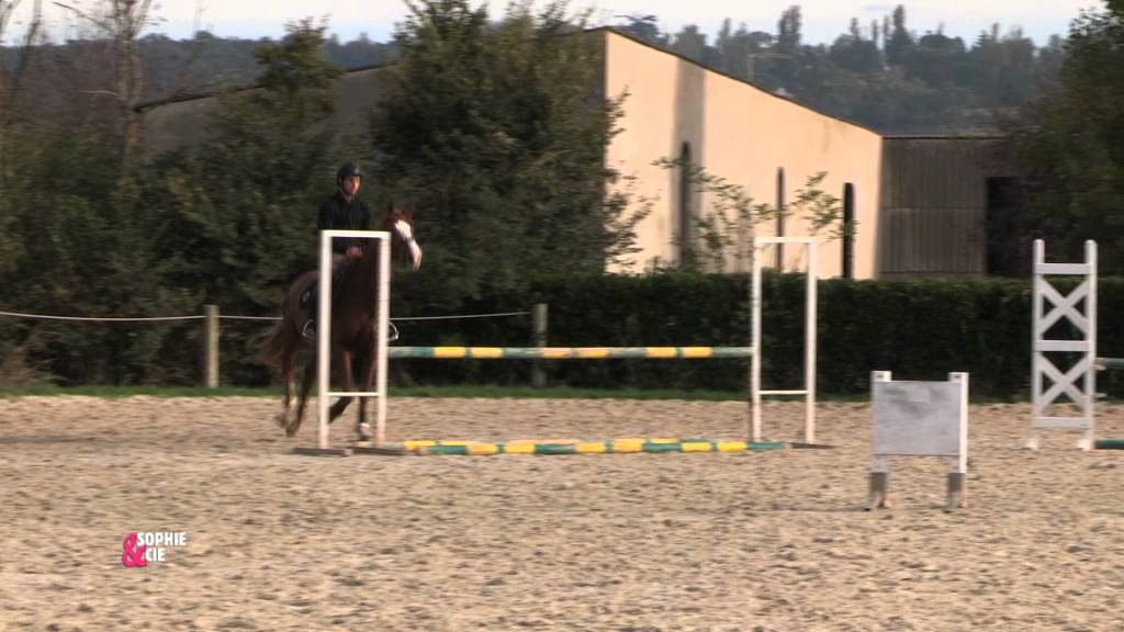 Travailler sur les lignes brisées avec votre cheval