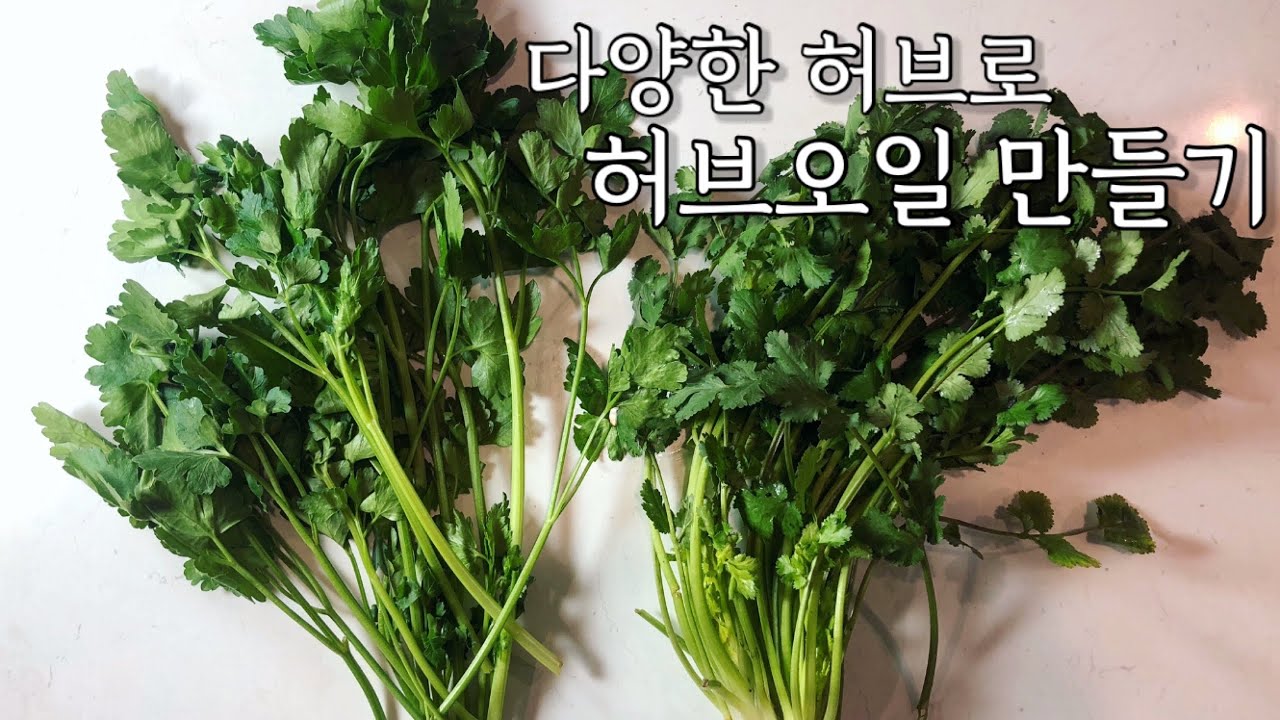 [셰프의 레시피] 레스토랑처럼 허브오일 만들기