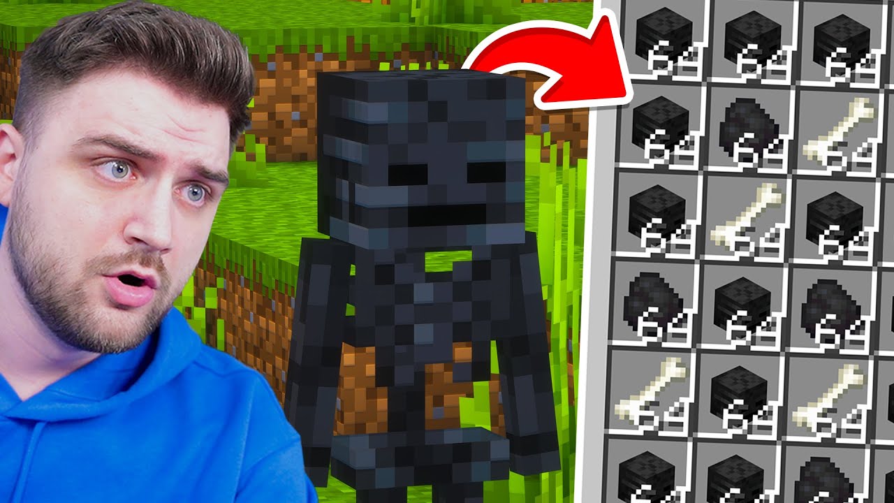 Capete de WITHER INFINITE !