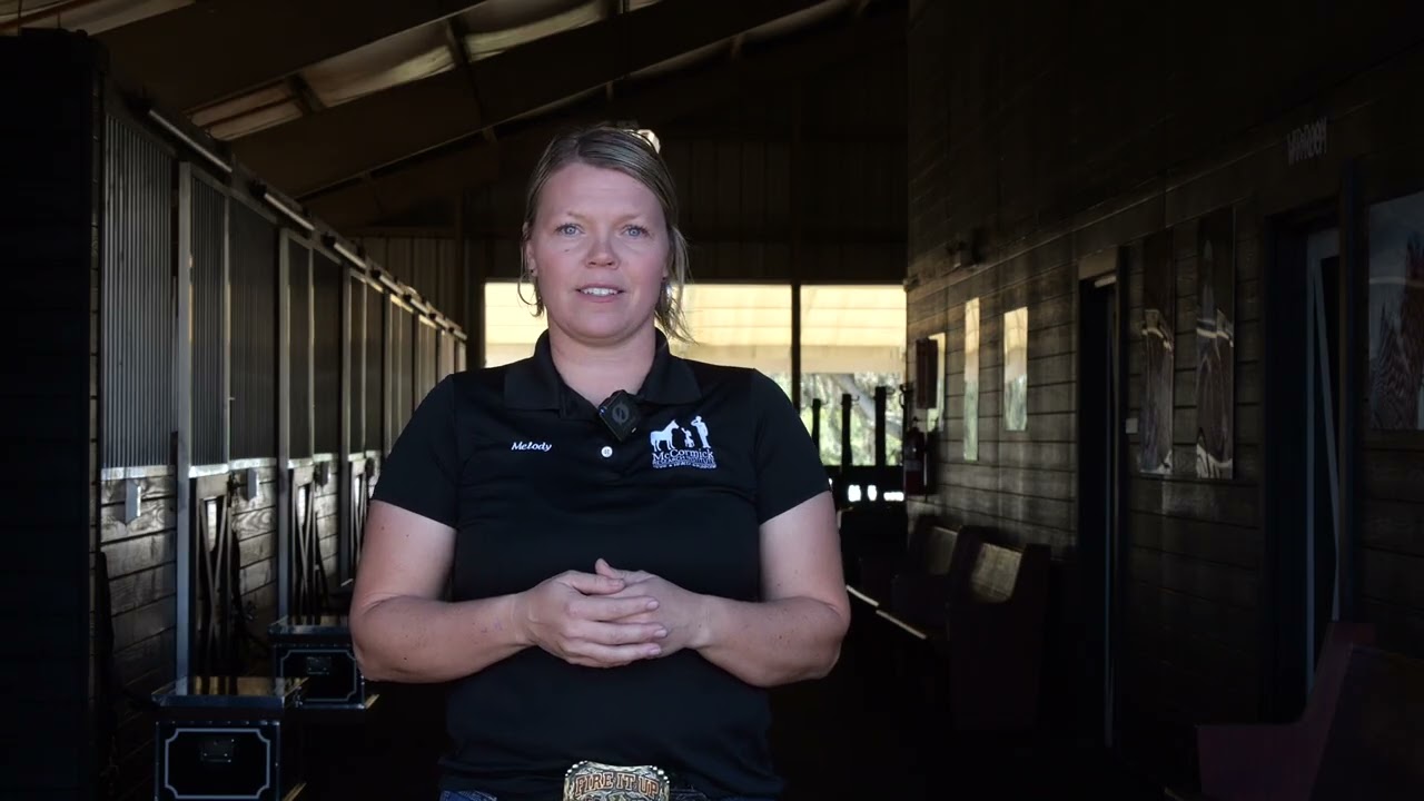 Horse behavior and haltering