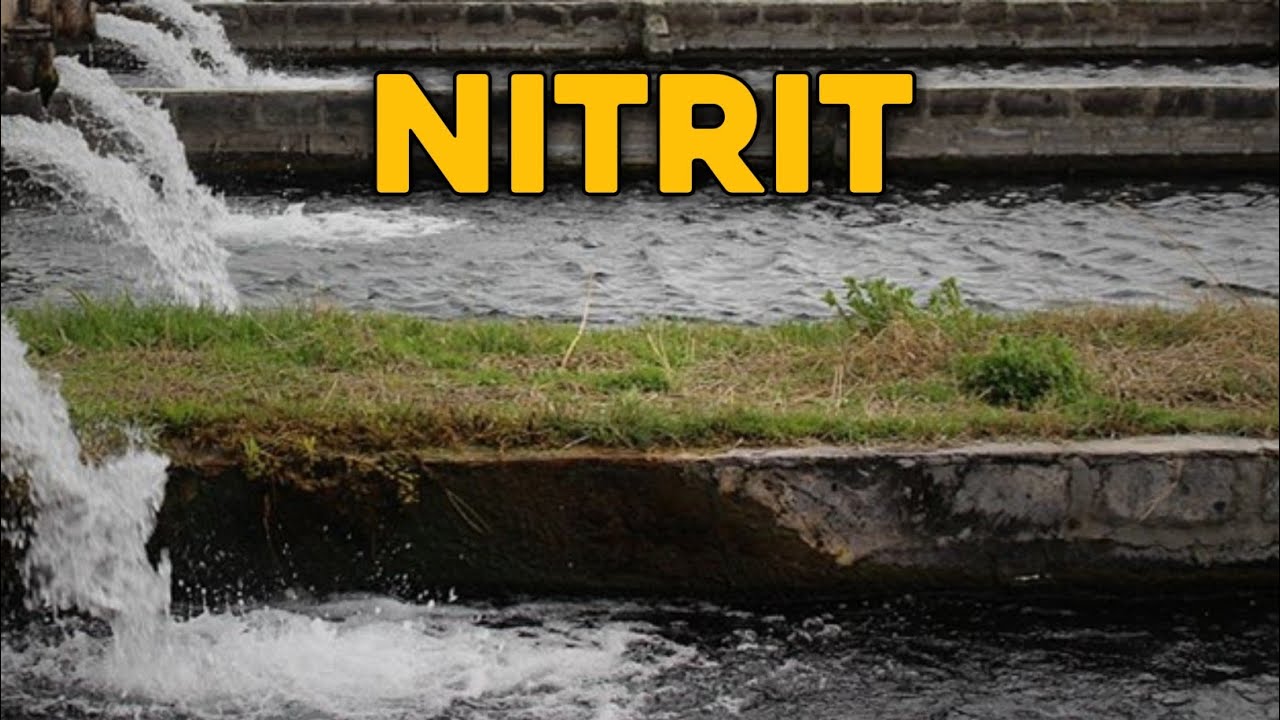 NITRIT