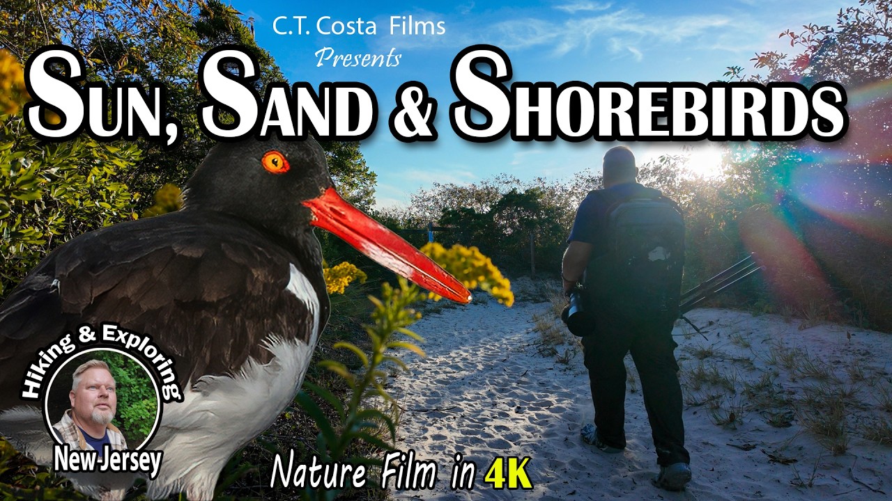 Where the Shorebirds Gather | A Late Fall Hike in Cape May, NJ