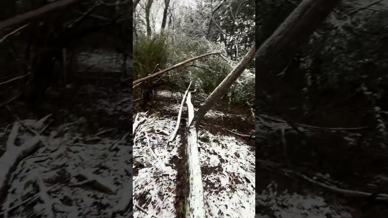 House in woods in snow part 3