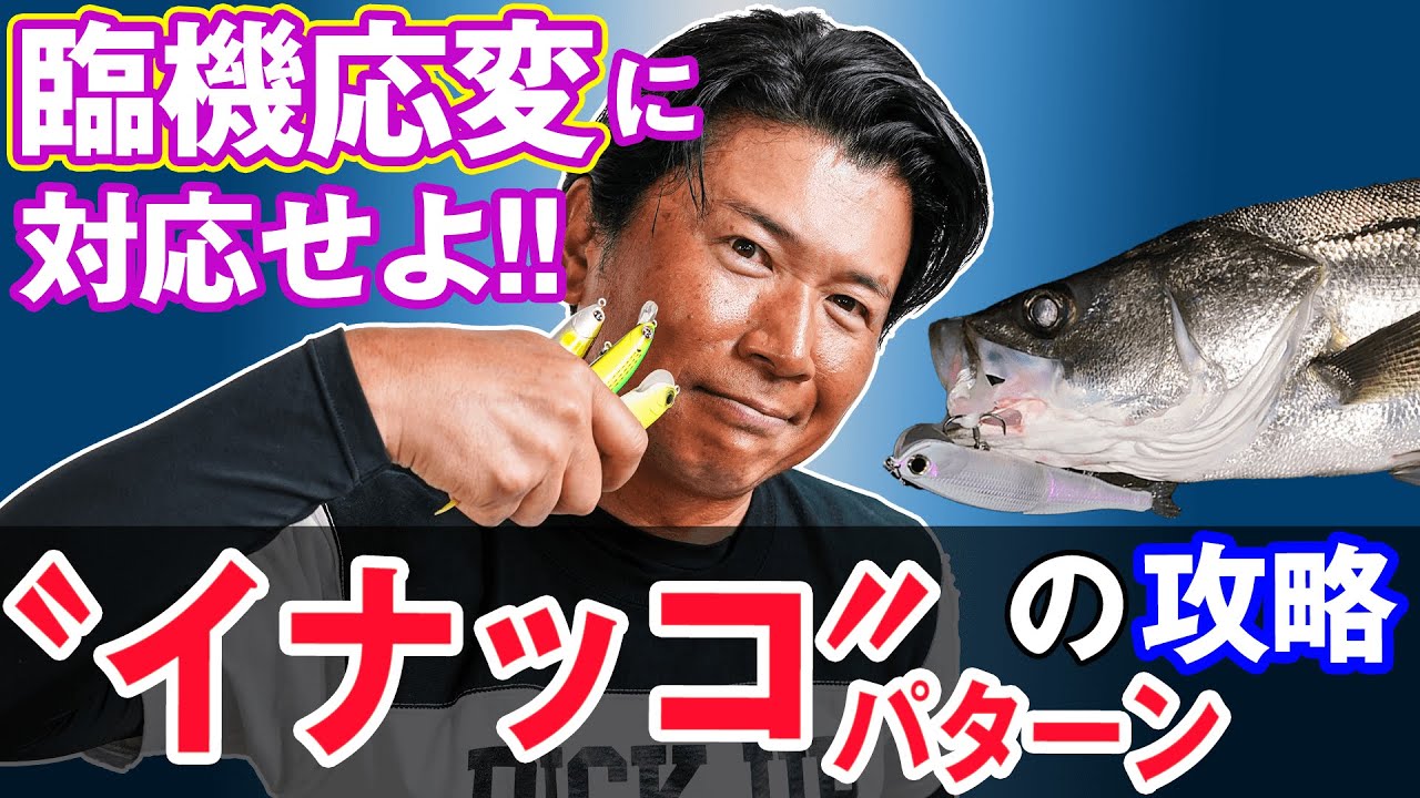 【イナッコパターン攻略】表層・中層レンジに合わせたメソッド公開！オヌマンのシーバス塾