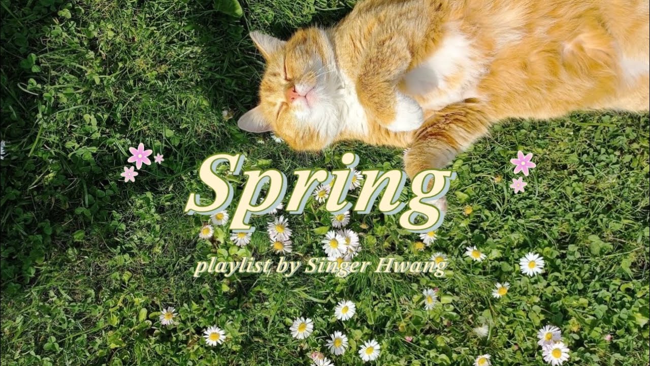 Spring Playlist 🌸 따뜻한 봄날 감성 플레이리스트 (1 Hour Chill Music)
