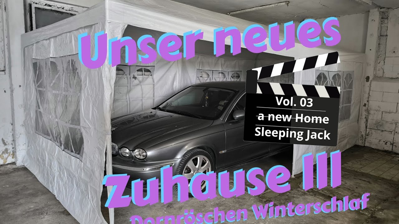 Jack geht back ! Jaguar im Winterschlaf 🐆