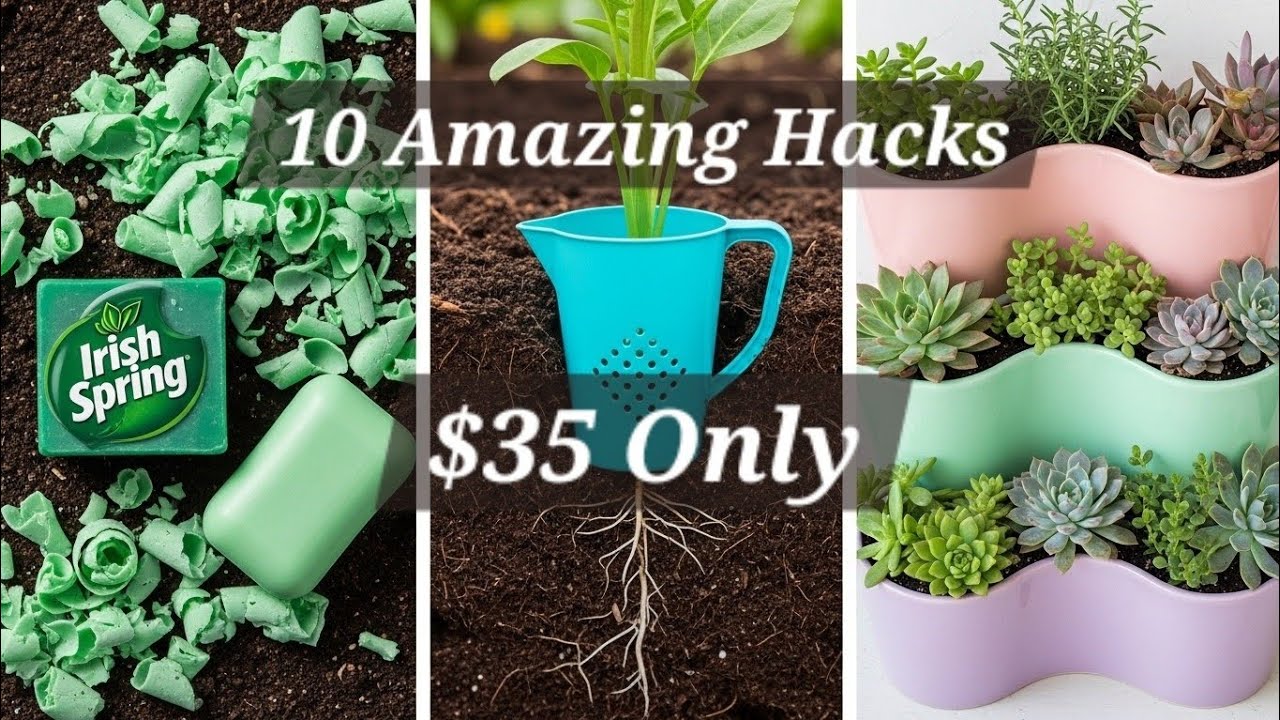 $35 Spent: 10 Dollar Store Garden Hacks That Actually Work (2026)