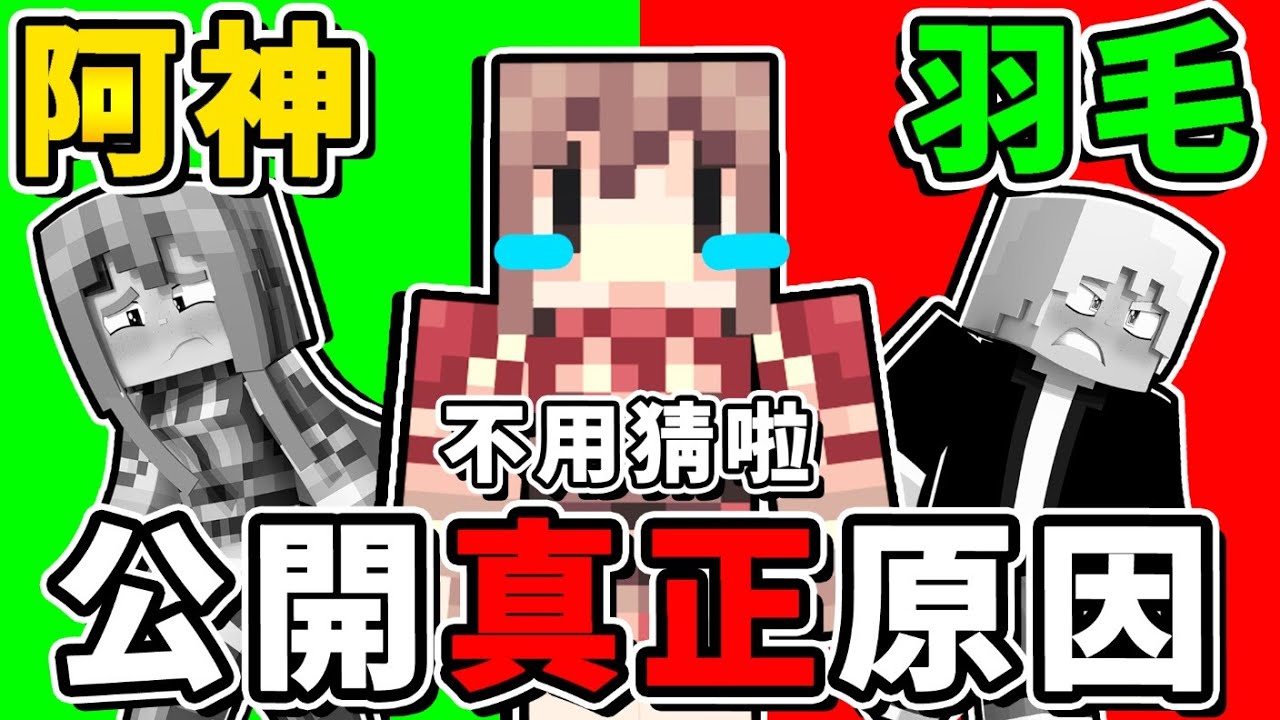 🔴【深夜巴士】不用再解謎辣 !! 羽毛離開的真正原因，攤開來直接講清楚(ﾟ∀ﾟ)!!