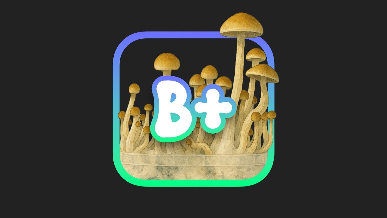 B+ Mushrooms Explained: The Ultimate Guide to This Popular Strain