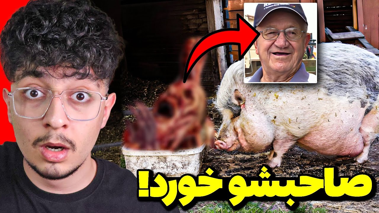 3 داستان عجیب که بنظر فیک میان ولی 100% واقعیت دارن!😱اتفاقات عجیب در دنیا